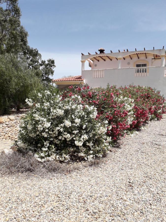 Casa Gregory Villa Turre Kültér fotó