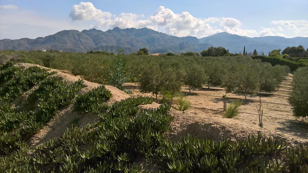 Casa Gregory Villa Turre Kültér fotó